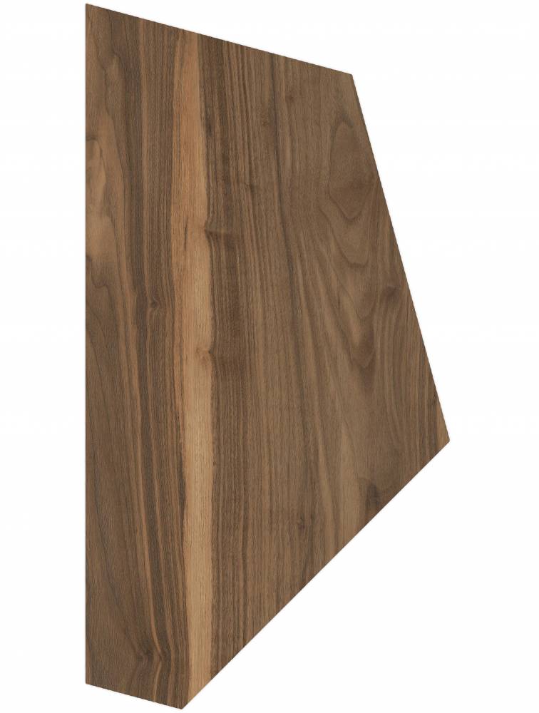  LARIX A