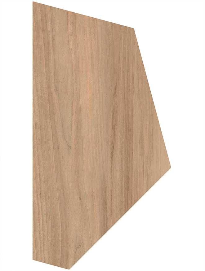  LARIX A