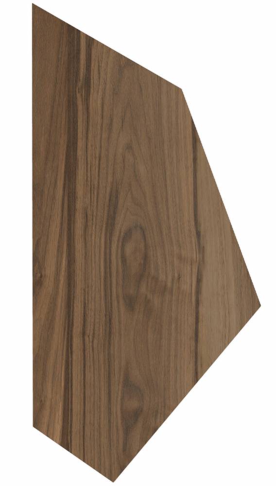  LARIX B