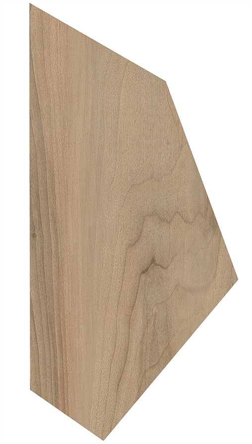  LARIX B
